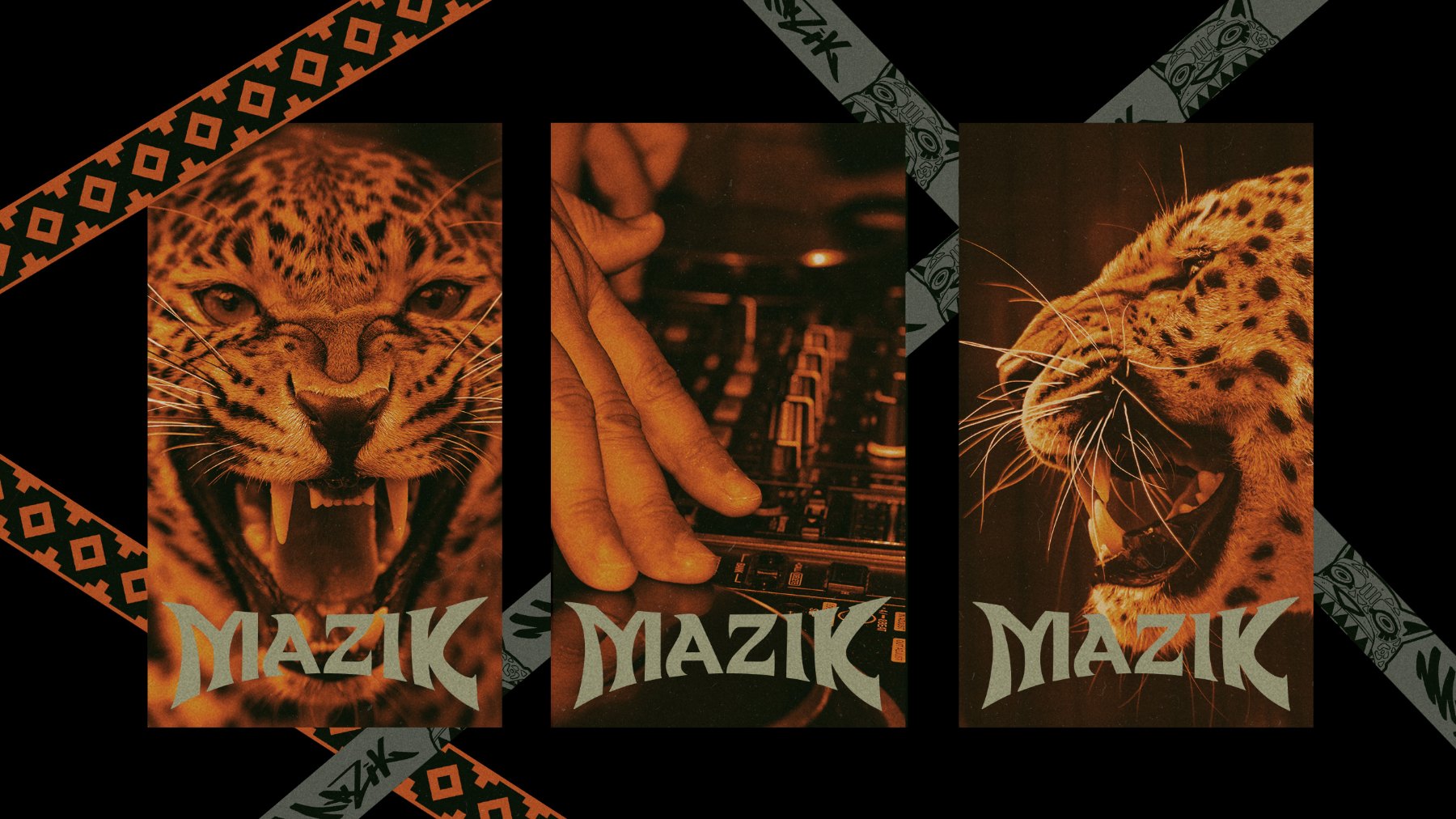 Arte MAZIK: onça, cabine, onça